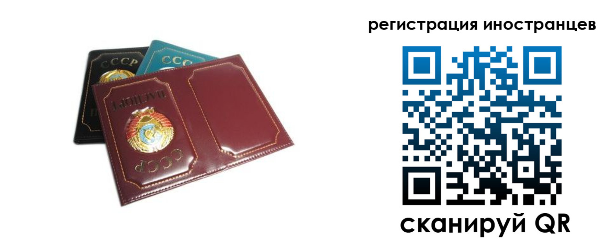 где прописаться в Ростове